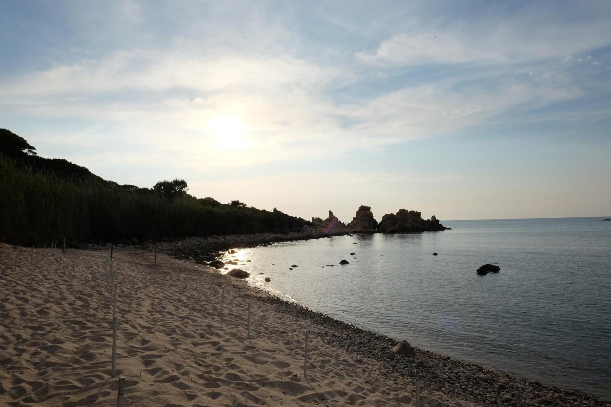 Calarossa Sardinia Apartments Isola Rossa Dış mekan fotoğraf